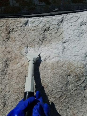 The Advantages of Choosing Professional Carpet Cleaning in Yukon, OK