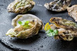 High Quality Charleston-Based Seafood Catering Service Awaits You