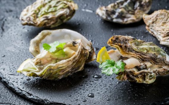 High Quality Charleston-Based Seafood Catering Service Awaits You
