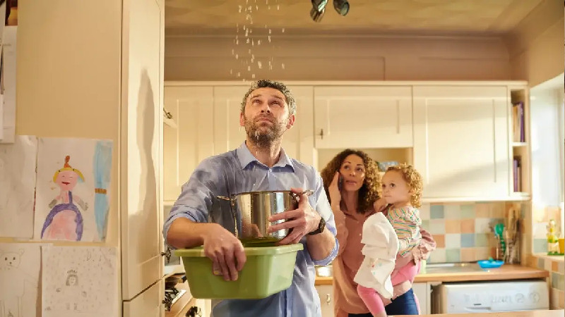 Water Damage Services in Gainesville, FL When You Need Them Most