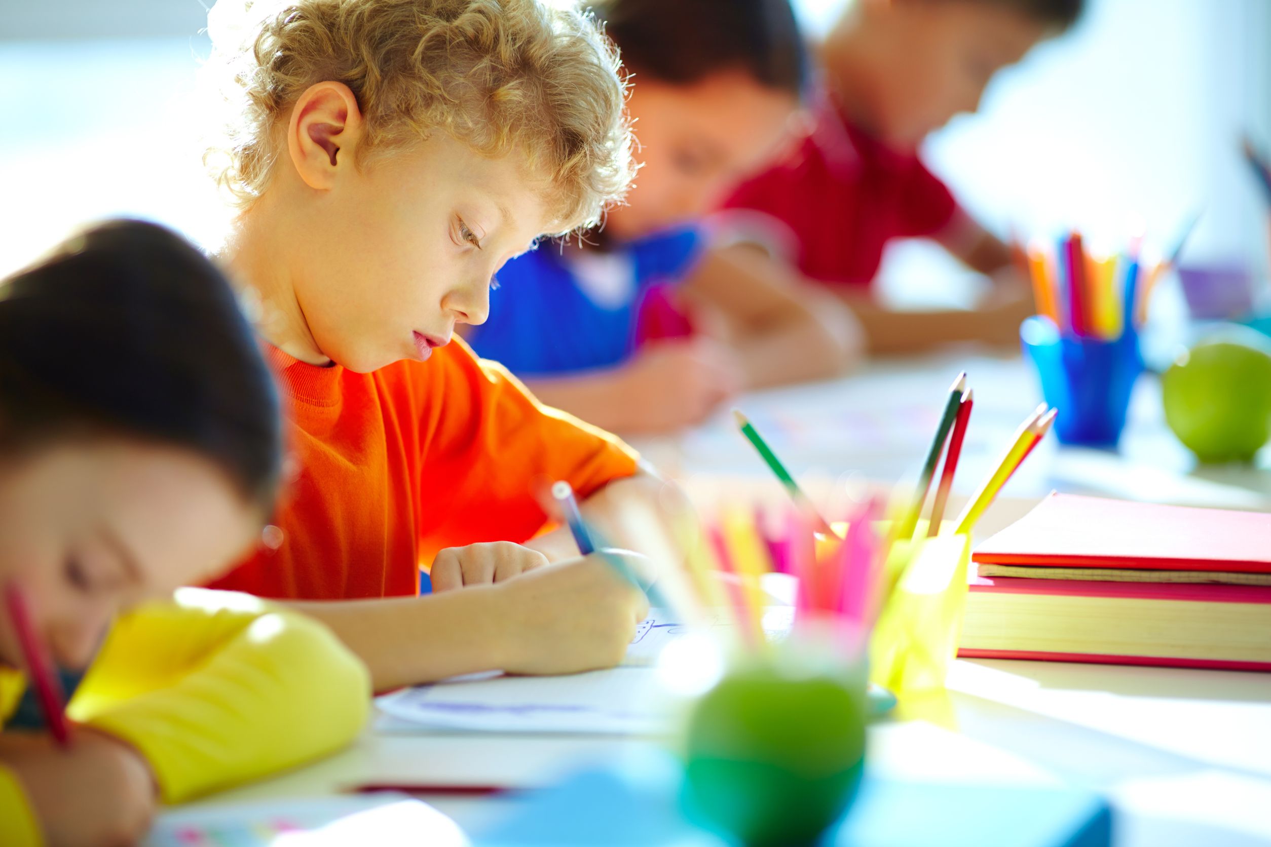 Things to Expect From the Top Public Elementary Schools in Sun City, AZ