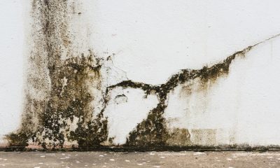 Companies That Provide Professional Commercial Water Damage Clean-Up in Gainesville, FL, Work on All Types of Businesses