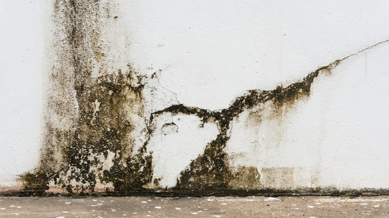 Companies That Provide Professional Commercial Water Damage Clean-Up in Gainesville, FL, Work on All Types of Businesses