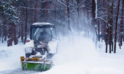 Why Hire Local Professionals for Snow and Ice Removal in Maryland