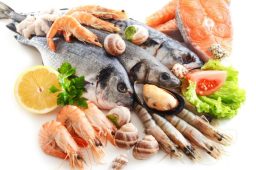 Important Steps On How To Store Fresh Oysters In Charleston, SC