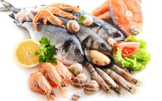 Important Steps On How To Store Fresh Oysters In Charleston, SC