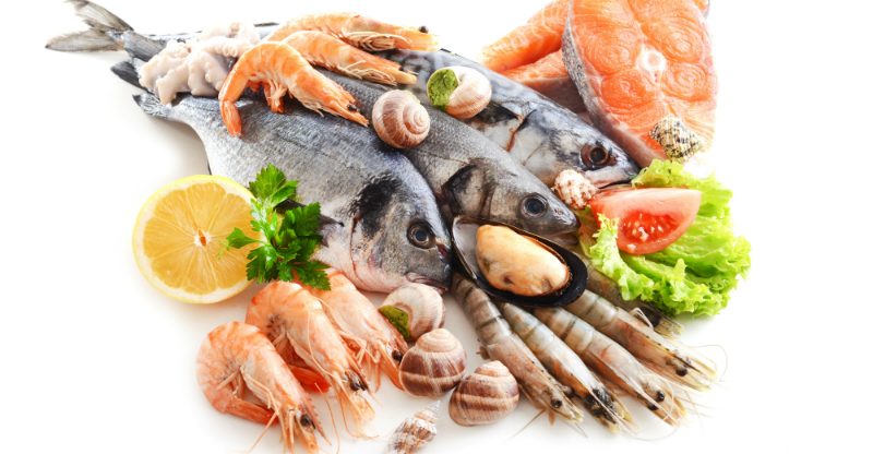 Important Steps On How To Store Fresh Oysters In Charleston, SC