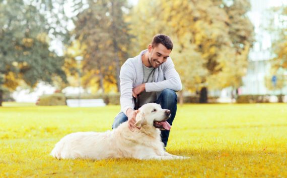 A Dog Walking and Pet Sitting Company in Manhattan You Can Trust