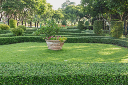 Advantages of Professional Assistance With Your Lawn in Arizona