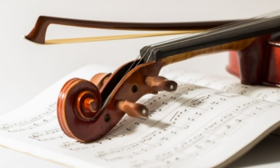 The Basics of Bass Restoration in Sugar Hill, GA