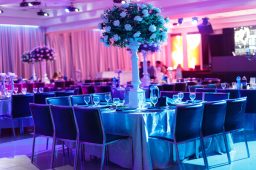 Professional Management From an Experienced Wedding Planner in Boston, MA