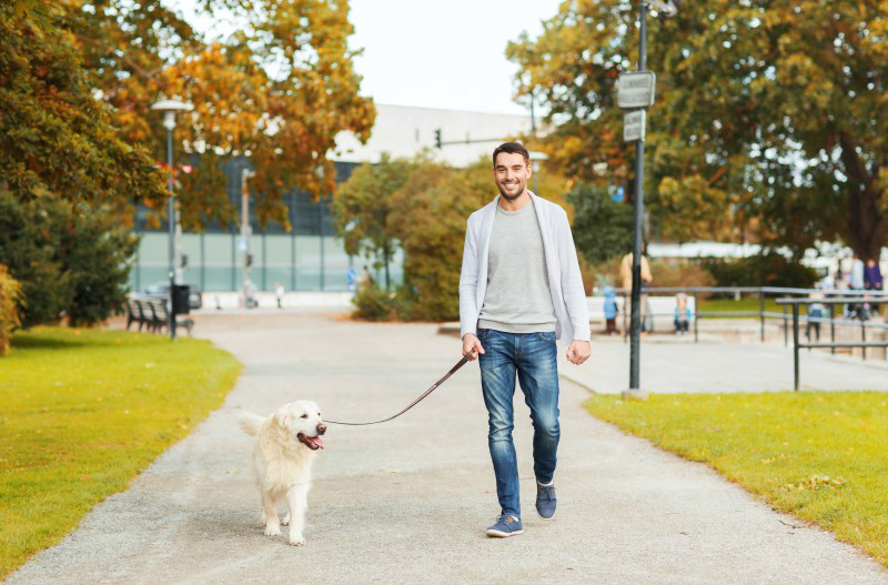 Dogs Matter: 3 Ways NYC Dog Walking Can Benefit You and Your Dog