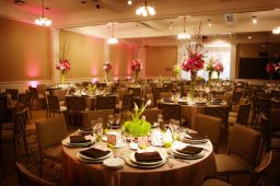 Rustic Meets Elegant in Fine Dining in Madison Square Park, New York City
