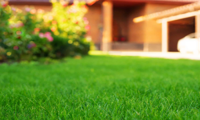 Hiring the Best Lawn Care Company in Jeffersonville, IN