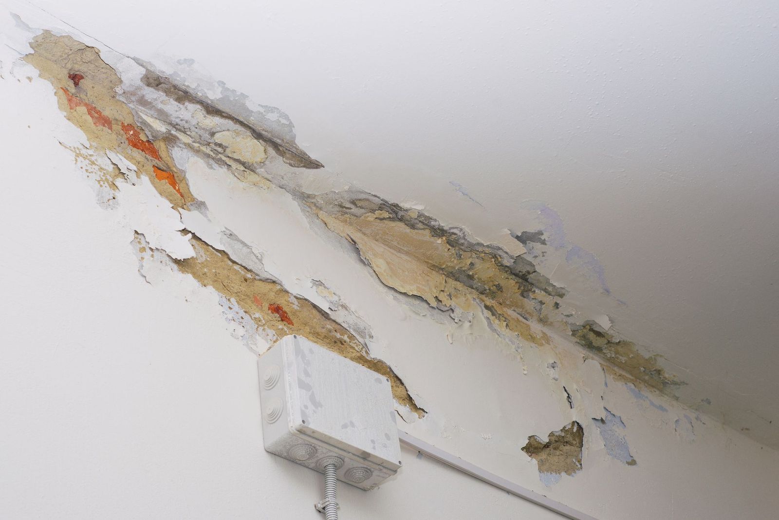 Essential Steps for Quick Water Damage Cleanup in Lombard, IL Homes and Basements