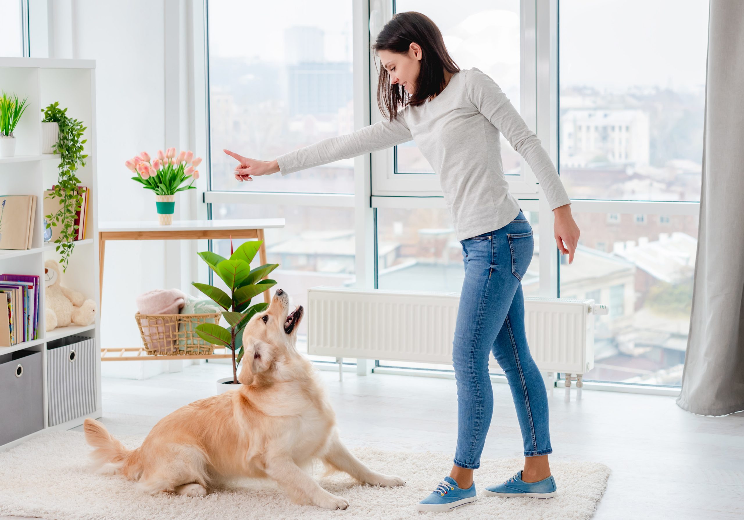 Save Time and Keep Lawns Clean With Reliable Pet Waste Removal in Aurora, CO
