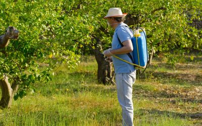 Understanding Propiconazole Fungicides for Effective Crop Protection Across the USA