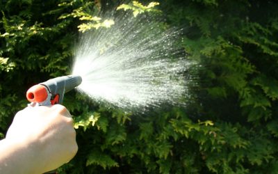 Learn How Sublime Herbicide Supports Weed Control for Healthier Lawns