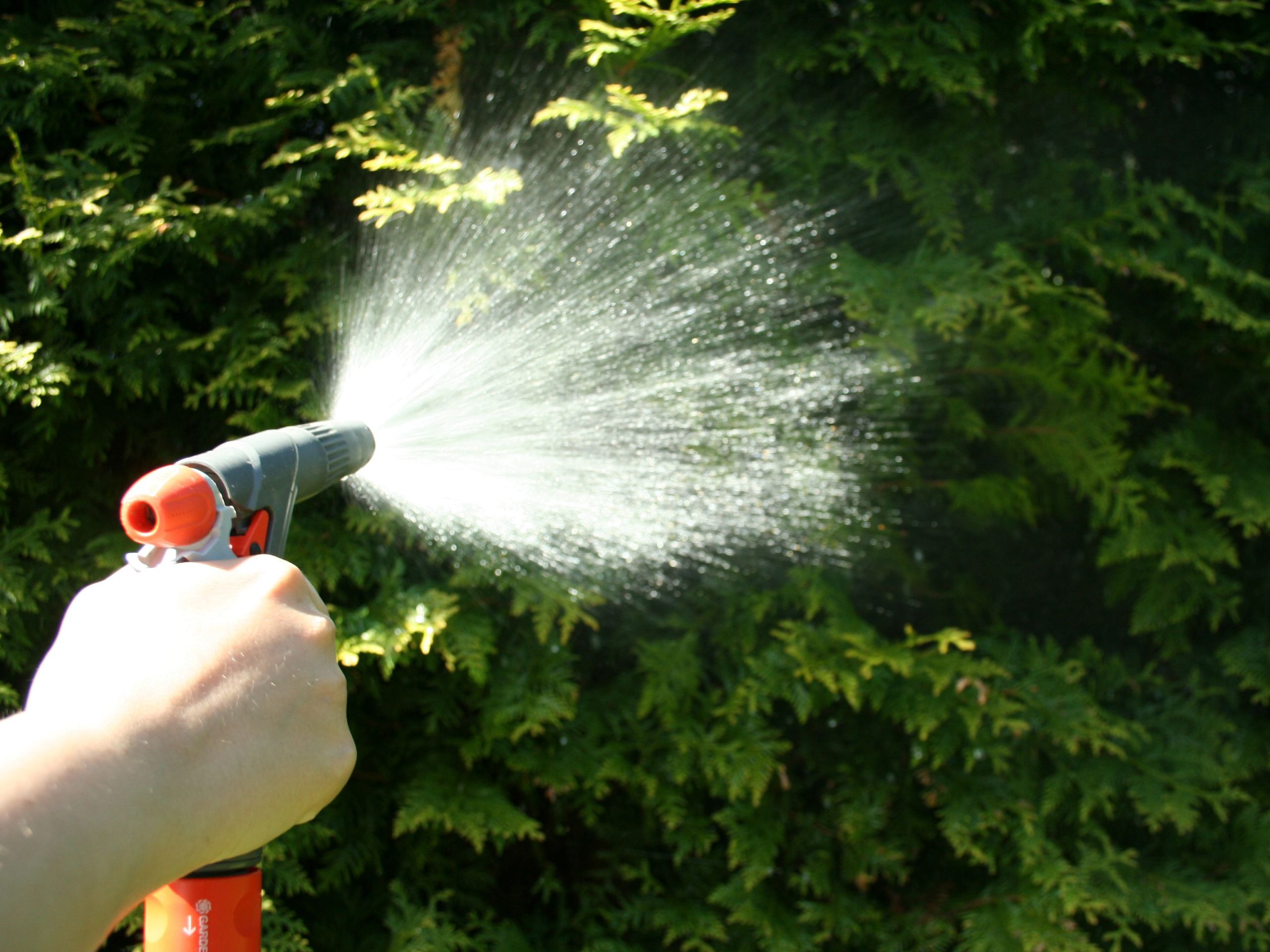 Learn How Sublime Herbicide Supports Weed Control for Healthier Lawns
