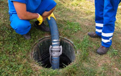 Experience Stress-Free Recovery With Expert Sewage Cleanup in Lisle, IL Solutions